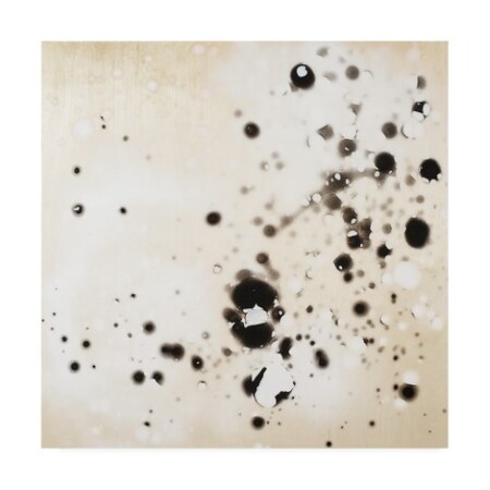 Trademark Fine Art